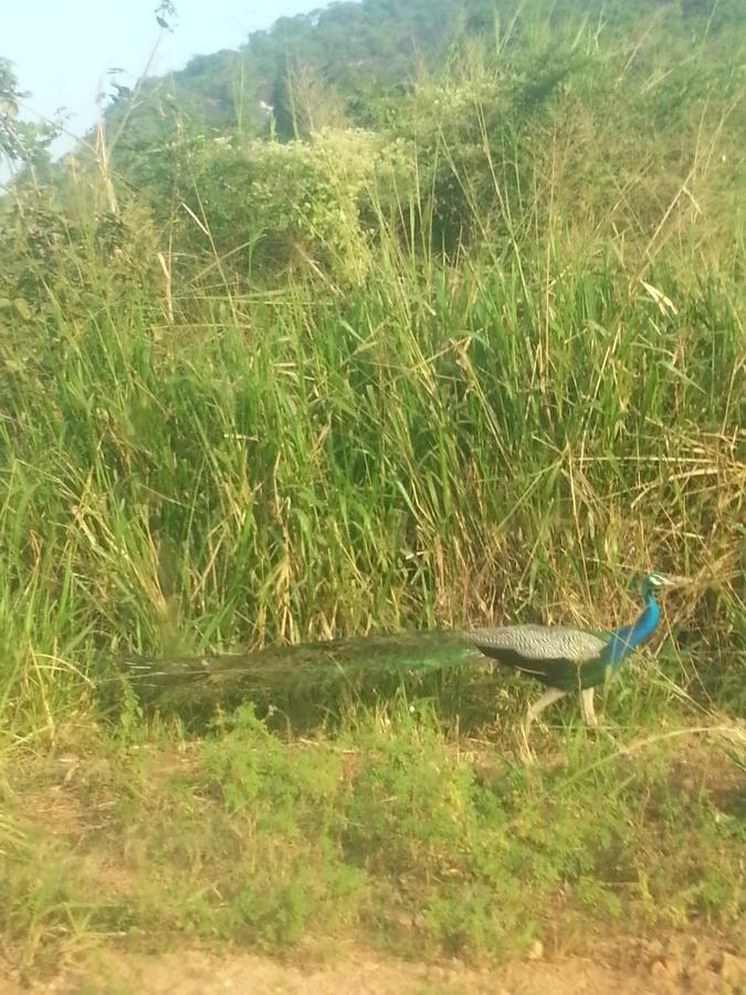 Shantha Surf Villa Weligama Luaran gambar